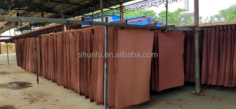 Used Paper Recycling Cardboard Sugarcane Pulp Plate Paperboard Laminating Machines Price